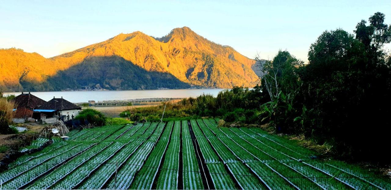 Volcano Lake View Kintamani Extérieur photo